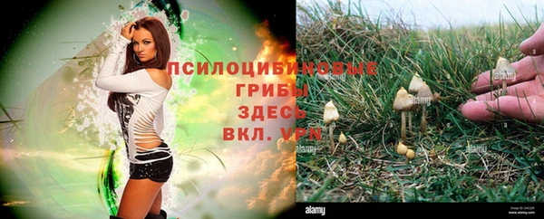 каннабис Россошь