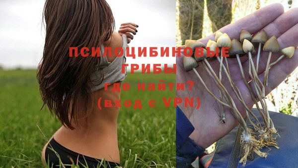 прущая мука Абинск