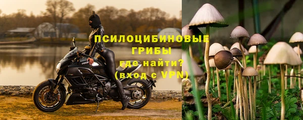 не бодяженный Абаза
