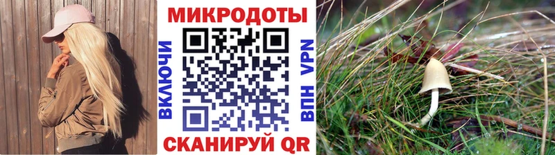 Псилоцибиновые грибы Psilocybine cubensis  ОМГ ОМГ ссылка  нарко площадка какой сайт  Кудымкар 