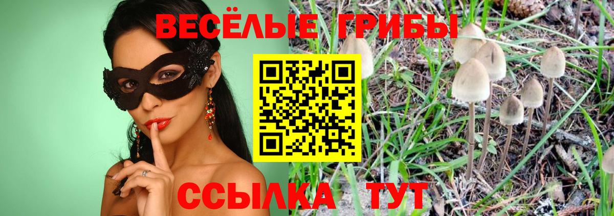 Кудымкар  Галлюциногенные грибы мицелий  Вход с VPN 